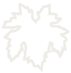 Napa Native logo