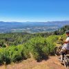 A mountain biker looking over Napa Valley