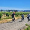 Three people wearing helmets ride bicycles on a paved path through a vineyard under a clear blue sky, with mountains and trees in the background—a perfect example of things to do in Napa Valley in 2026.